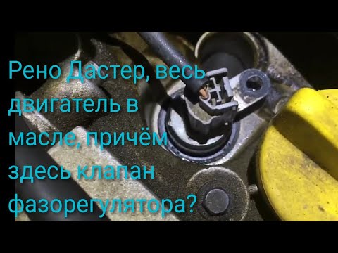 Видео: Рено Дастер, весь двигатель в масле, причём здесь клапан фазорегулятора