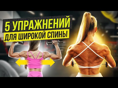 Видео: 5 упражнений для широкой спины. Тренировка в зале.