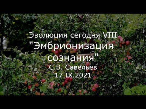 Видео: С.В. Савельев - Эмбрионизация сознания
