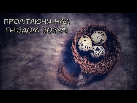 Видео: Пролітаючи над гніздом зозулі (Аналіз)
