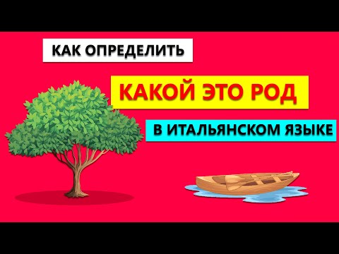 Видео: Как определить род в Итальянском языке