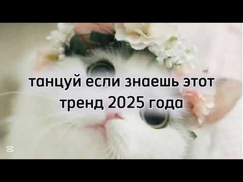 Видео: Танцуй если знаешь этот тренд 2025 года #kamistory2015 #amystory2011 #trending #reels #dance #trend
