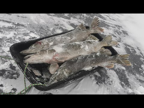 Видео: ПЕРВЫЙ ЛЕД 2022-2023! СТРЕЛЯЮТ ЖЕРЛИЦЫ И РАЗРЫВАЮТ БАЛАНСИРЫ!