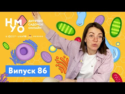 Видео: Дитячий онлайн-садок НУМО. Випуск 86