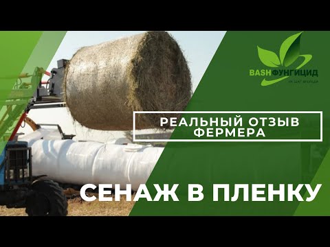 Видео: Сенаж в пленку. Реальный отзыв фермера. #сенажвпленку #обмотчикрулонов #сенаж #повышаемудой #корм