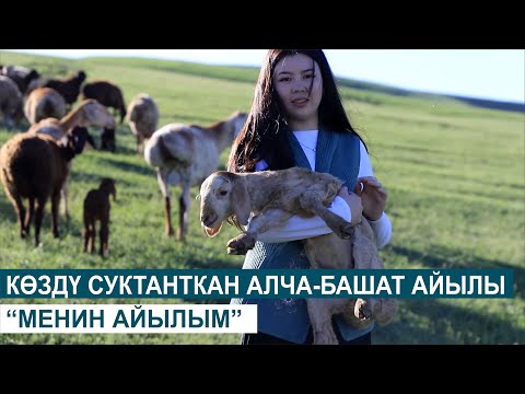 Видео: КӨЗДҮ СУКТАНТКАН АЛЧА-БАШАТ АЙЫЛЫ //МЕНИН АЙЫЛЫМ