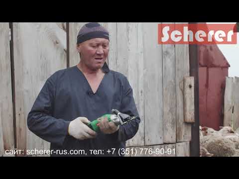Видео: Машинка для стрижки овец и коз Scherer Prima 500 (Шерер Прима 500) отзыв профессионала.