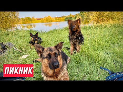 Видео: ГРУППА В ВОЛОСАТЫХ КУПАЛЬНИКАХ
