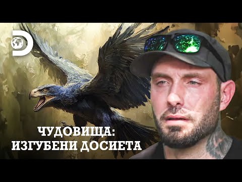 Видео: Какво е гром птица? | Чудовища: Изгубени досиета