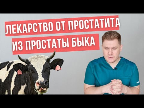 Видео: Эффективное лекарство от простатита из простаты бычков.