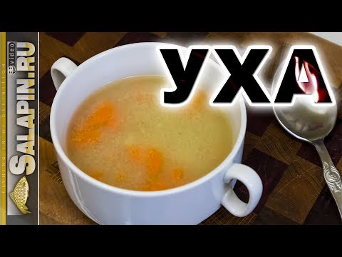 Видео: Уха из щуки: вкусный и полезный диетический рецепт [salapinru]
