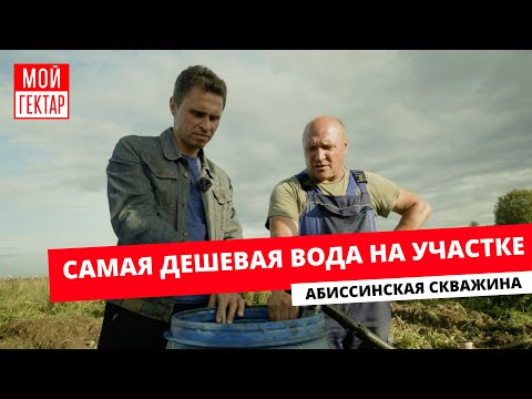 Видео: АБИССИНКА — МЫ СДЕЛАЛИ ЭТО! | САМАЯ ДЕШЕВАЯ ВОДА НА УЧАСТКЕ | РАЗВИВАЕМ ГЕКТАР | ОТ СОХИ ДО СОХИ