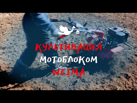 Видео: Установка фрез и культивация участка | Мотоблок Weima WM1000N-6