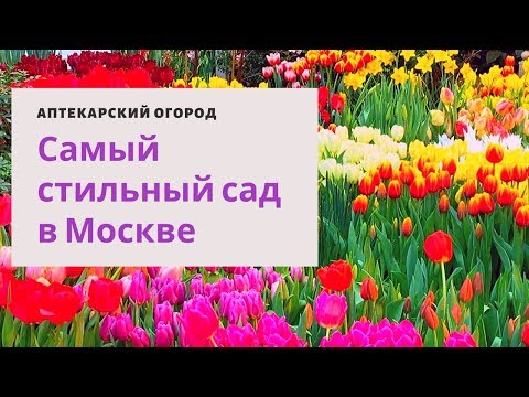 Видео: Посетите Аптекарский огород! Там РЕПЕТИЦИЯ ВЕСНЫ!!!