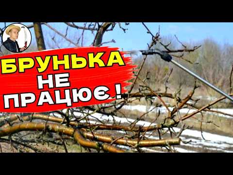Видео: БРУНЬКИ НАС ПІДВЕЛИ Рання Весняна Обробка Саду  Від Хвороб Та Шкідників Препаратом Брунька