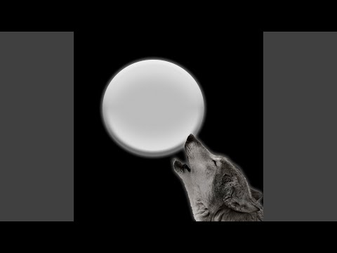 Видео: Инстакоролева