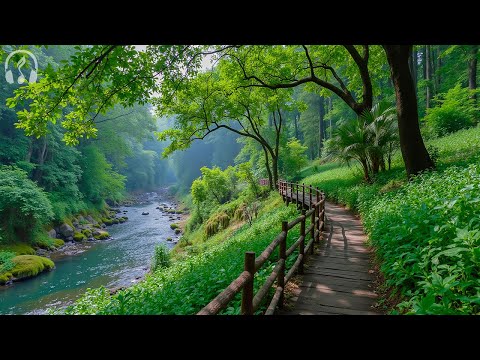 Видео: Музыка для внутреннего света 🌿 Исцеляющие ноты, что согревают душу и вдохновляют сердце