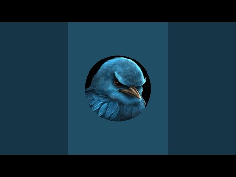 Видео: Ала-Бука Сила в прямом эфире!