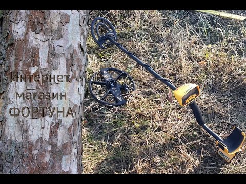 Видео: Как улучшить Garrett Ace 250 - плюсы DD