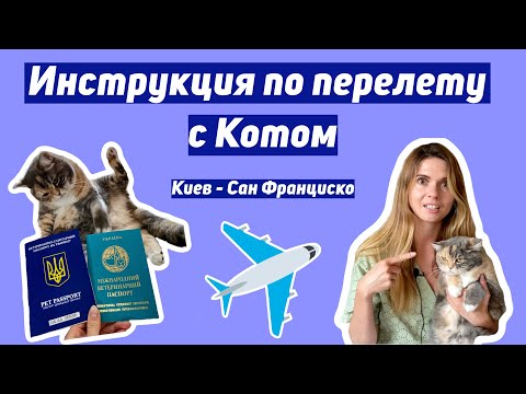 Видео: Самое детальное видео о ПЕРЕЛЕТЕ с КОТОМ | Наш переезд с кошкой Киев - Сан-Франциско, США | ЧЕК-ЛИСТ