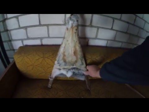 Видео: КРОЛИКИ/Сушка шкурок/Рамка для сушки шкурок за 10мин