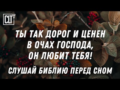 Видео: У тебя есть будущность и надежда твоя не потеряна | Звуки природы | 3 часа  уютного чтения Библии