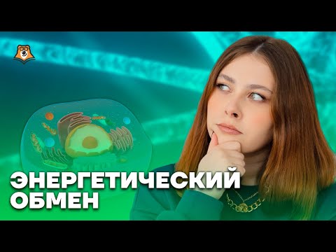 Видео: Энергетический обмен в биологии: Как решать задания? | Биология ЕГЭ 2025 | Умскул