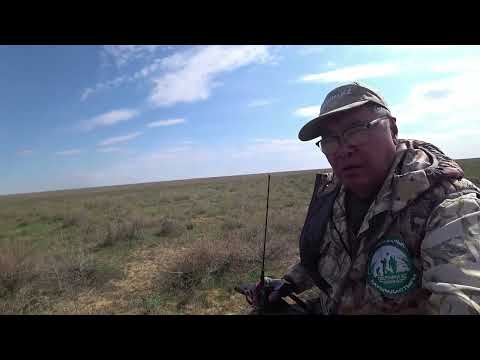 Видео: 🐺. 3-бөлім. Ұжымдық аңшылық "Көктемгі Көкжал-25". БҚО. Жаңақала ауданы. 13.04.25.