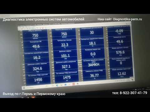 Видео: Удалённая диагностика, диагностика Газон Некст