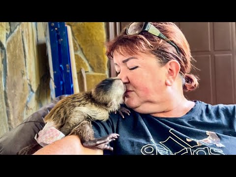 Видео: Финик маму ПРОСТО ЗАЦЕЛОВАЛ, а Анфиса за окном и обои ОБОРВАЛА и чуть не СОРВАЛА ШТОРУ! 