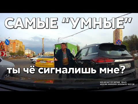 Видео: Подборка САМЫХ "УМНЫХ" водителей #837