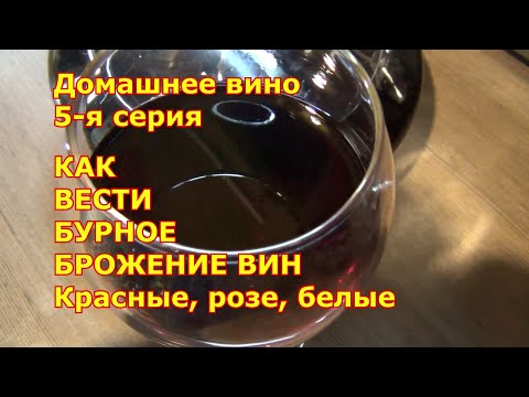 Видео: Домашнее вино. 5  серия. Бурное брожение красных, розовых, белых вин. Нюансы.