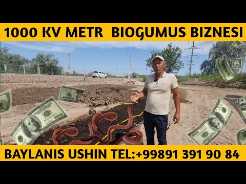 Видео: 1000 КВ МЕТР ЖЕРДЕ КЫЗЫЛ КУРТ БИЗНЕСИН БАСЛАГАН КАРАКАЛПАК ЖИГИТИ ТЕЛ:+998913919084