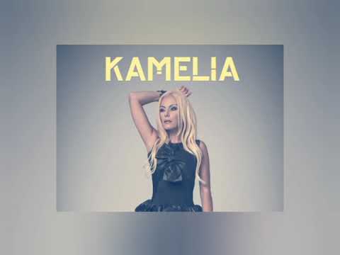 Видео: Камелия - Залеза И Зората (Kamelia - The Sunset and Dawn) (RMX) + TEXT #kamelia #popfolk