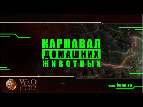 Видео: Карнавал домашних животных • Забег разноцветных пони