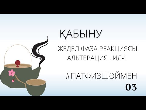 Видео: ҚАБЫНУ 1 ШІ БӨЛІМ | #Патфизшәймен