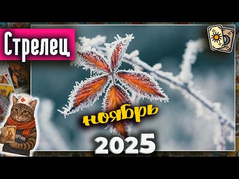 Видео: Стрелец Таро Ноябрь 2025