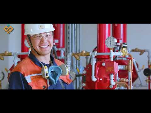 Видео: БАЯЛГИЙН САН