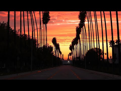 Видео: Voiceplay и Ди Джей Янг - Hit the Road Jack (видеообложка альбома) Реакция на реакцию Дэниела Крейна