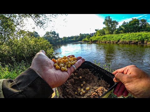 Видео: НЕ МОГУ СДВИНУТЬ РЫБУ С МЕСТА! РЫБАЛКА НА ГОРОХ!