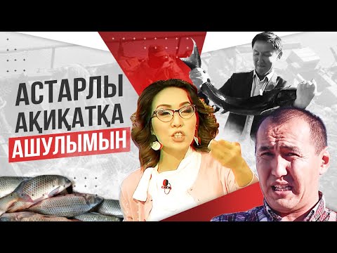 Видео: Қалай 20 млн тг табуға болады? Балық шаруашылығы. Балық өсіру. Форель. Бекіре балығы. Сазан өсіру.