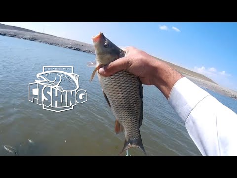 Видео: Рыбалка /Сломал маховую удочку/ Fishing day