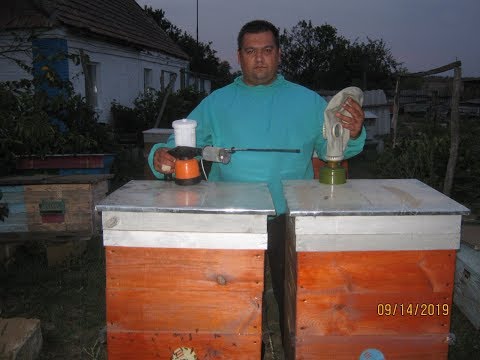 Видео: Обработка пчел от клеща дым пушкой