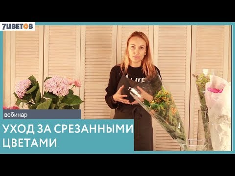 Видео: Основы флористики. Уход за цветами - вебинар Ольги Шаровой и компании 7ЦВЕТОВ