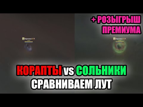 Видео: Где больше лута? Проклятые подземелья или сольники?