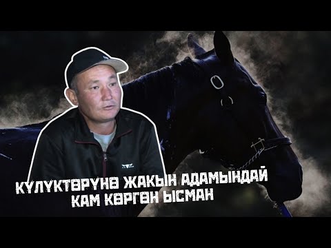 Видео: Күлүктөрүнө жакын адамындай кам көргөн Ысман