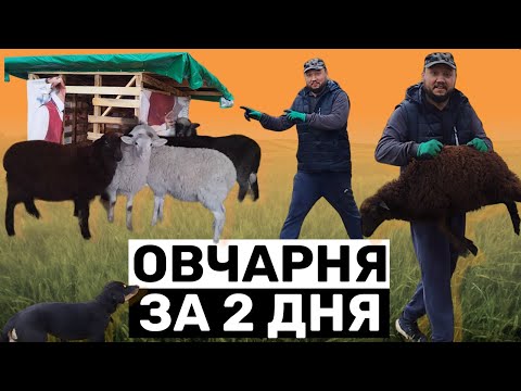 Видео: Овчарня за 2 дня + первые постояльцы