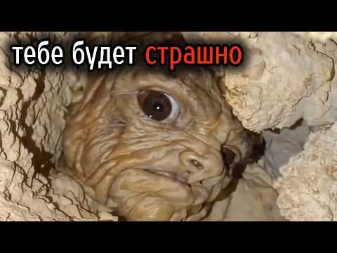Видео: Самые Ужасные Видео со Всего Мира #13