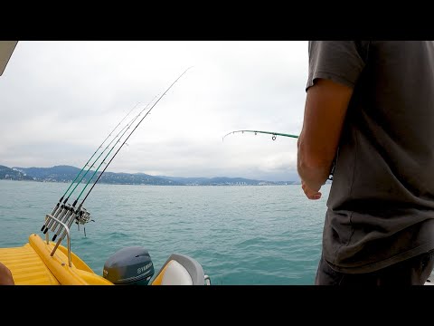 Видео: Экскурсия Морская рыбалка в Адлере