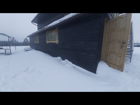 Видео: Зимний курятник с морского контейнера